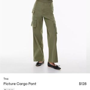 Aritzia Picture Pants